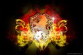 /album/wallpaper1/tumblr-m1y89ll35j1qbgkxao1-r1-500-jpg/